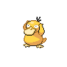 psyduck