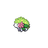 shaymin