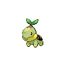 turtwig